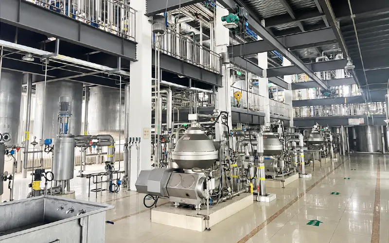 Edible Oil